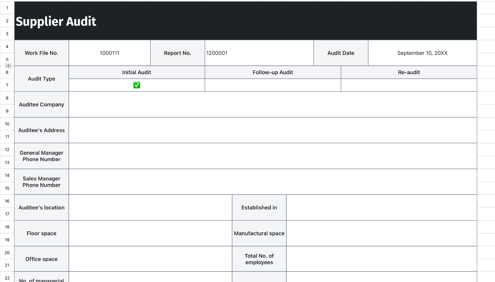 Supplier Audit